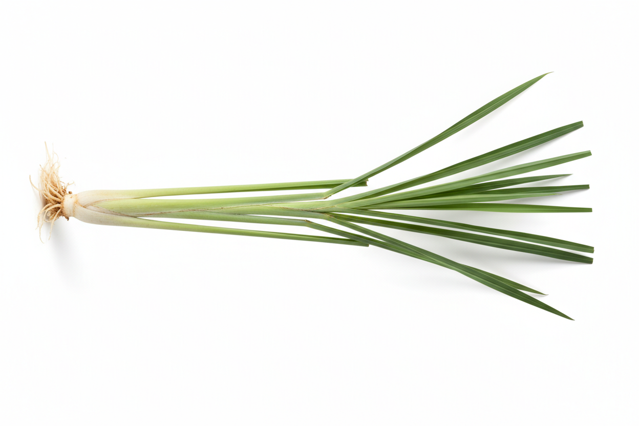 Lemongrass