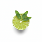 sage & lime foaming soap