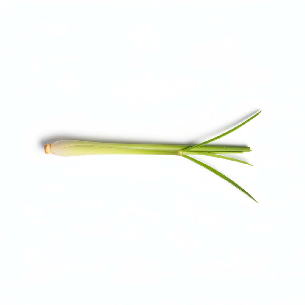A single piece of lemongrass horizontally on a clean white background.