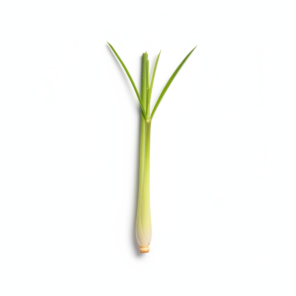 A single fresh lemongrass stem with pale yellow-green tones, positioned horizontally on a clean white background.